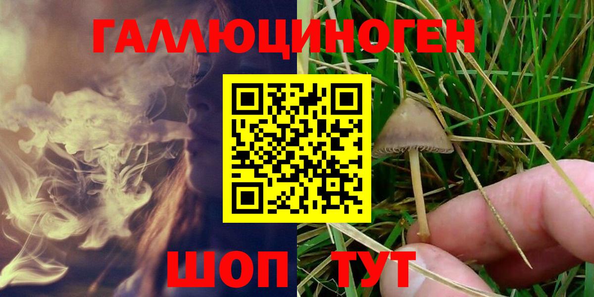 Галлюциногенные грибы Magic Shrooms Полевской