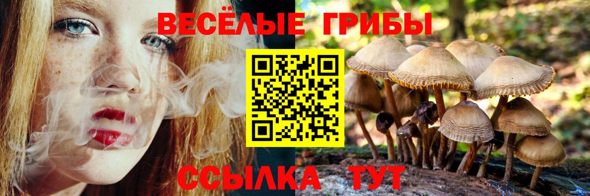 Полевской  Псилоцибиновые грибы Cubensis  Псилоцибиновые грибы Magic Shrooms  Вход с VPN 